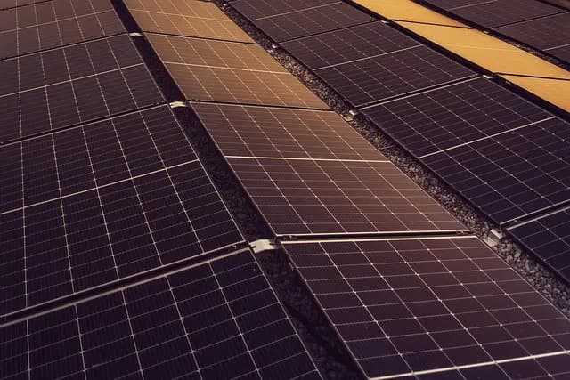 Cómo la tecnología está impulsando la innovación sostenible
